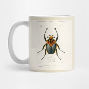 Goliathus cacicus illustrated by Charles Dessalines D' Orbigny Mug